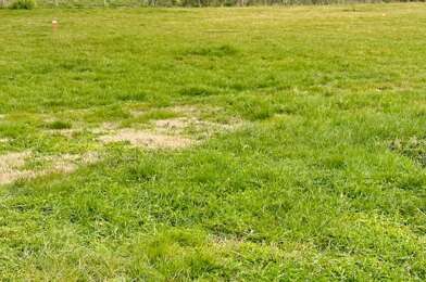 Terrain  89500 €