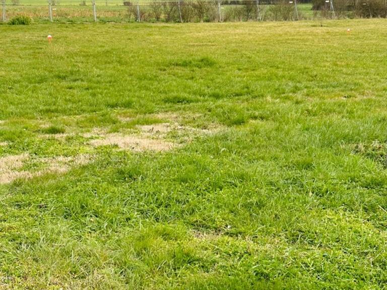 Terrain hors lotissement à Ciré-d’Aunis — photo 1