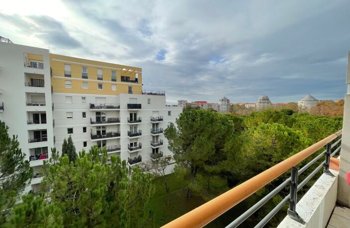 T2 Rives du Lez — photo 2