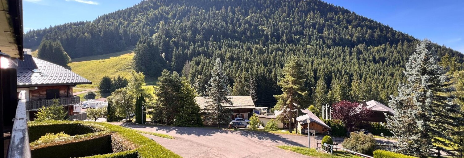 Appartement 1 Pièce 22 m² à vendre à Le Biot (74430)