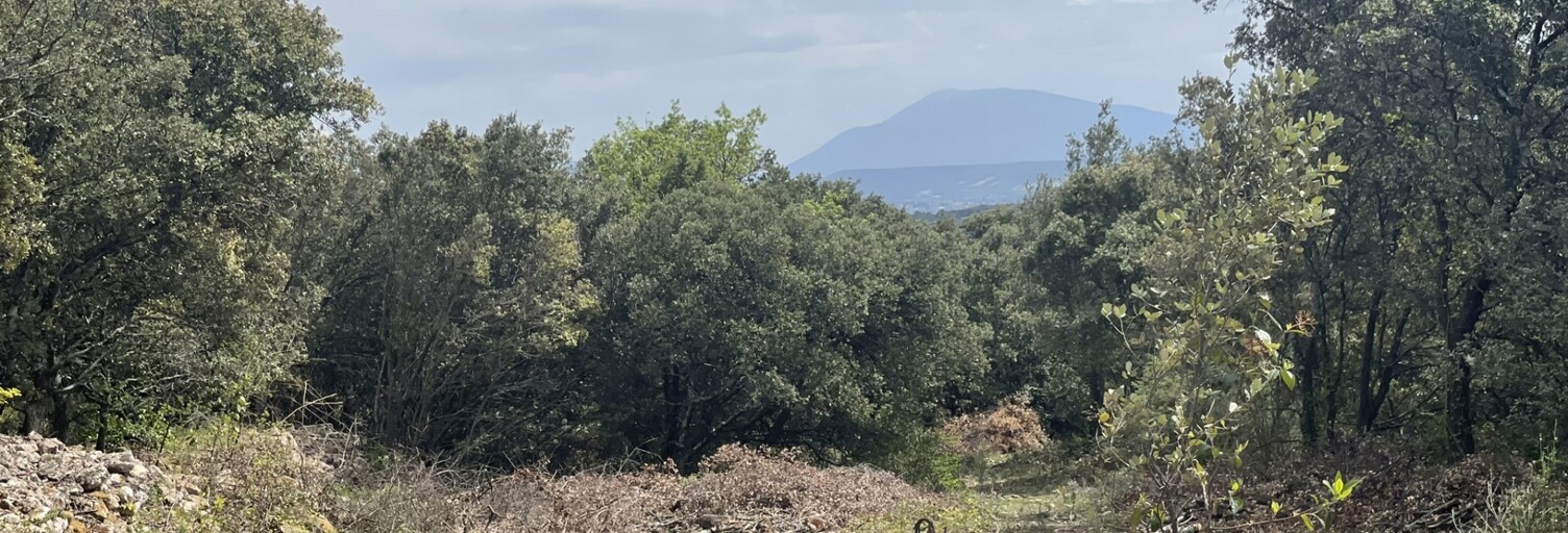 Terrain  2694 m² à vendre à Saint-Restitut (26130)