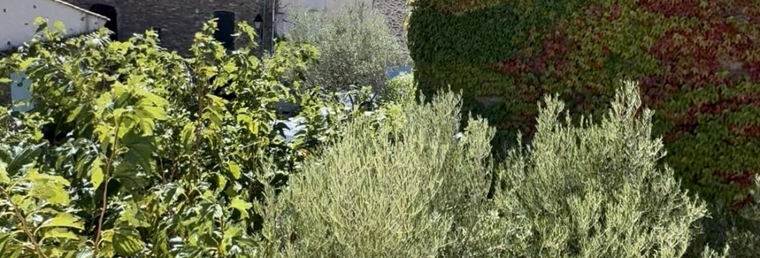 Maison 4 Pièces 100 m² à vendre à La Garde-Freinet (83680)