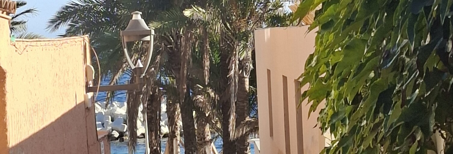 Appartement 2 Pièces 26 m² à vendre à Cannes (06400)