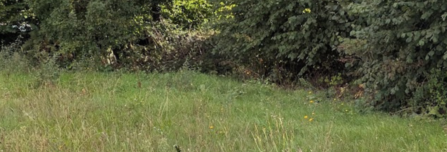 Terrain  512 m² à vendre à Lantic (22410)