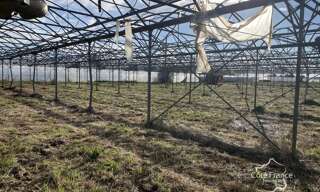 Terrain  130000 m² à vendre à Longueville (47200)