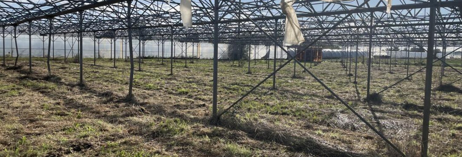 Terrain  130000 m² à vendre à Longueville (47200)