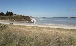 Appartement 3 Pièces 36 m² à louer à Saint-Samson-sur-Rance (22100)