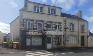 Immeuble  140 m² à vendre à Avessac (44460)