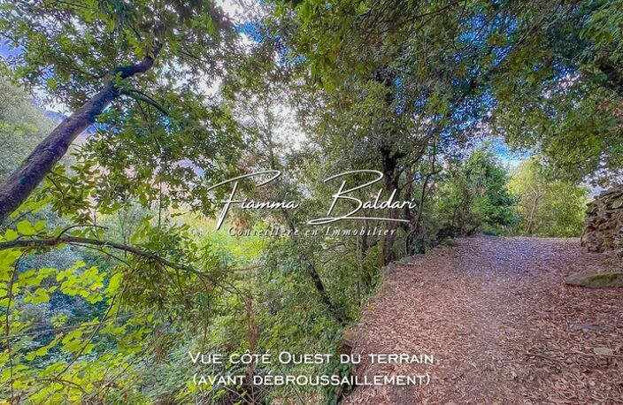 À vendre Terrain 750m², Canaja, Campile, Haute-Corse (20) — photo 2
