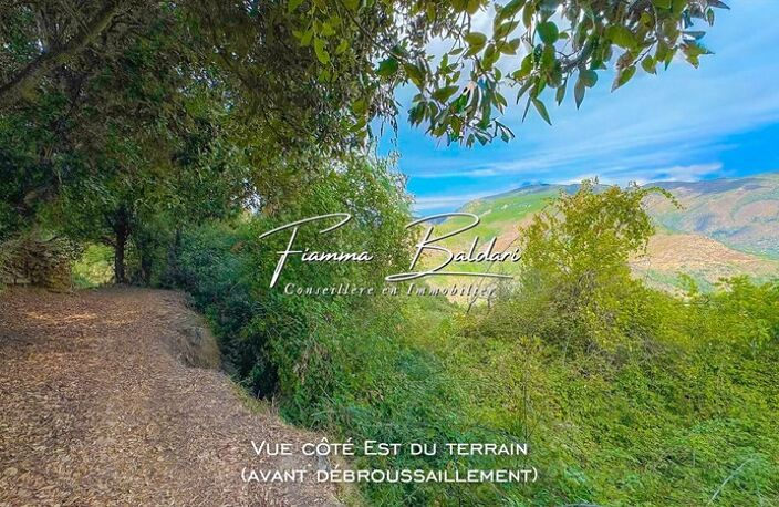 À vendre Terrain 750m², Canaja, Campile, Haute-Corse (20) — photo 3