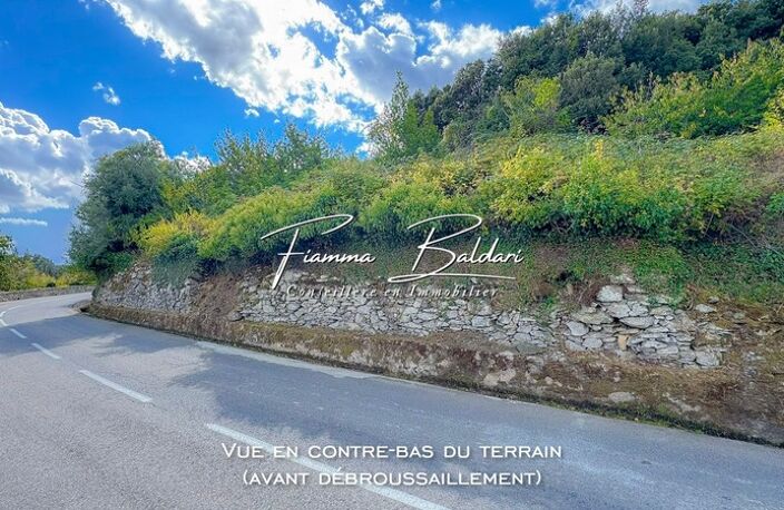 À vendre Terrain 750m², Canaja, Campile, Haute-Corse (20) — photo 4