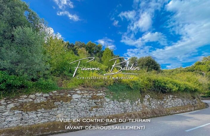 À vendre Terrain 750m², Canaja, Campile, Haute-Corse (20) — photo 5