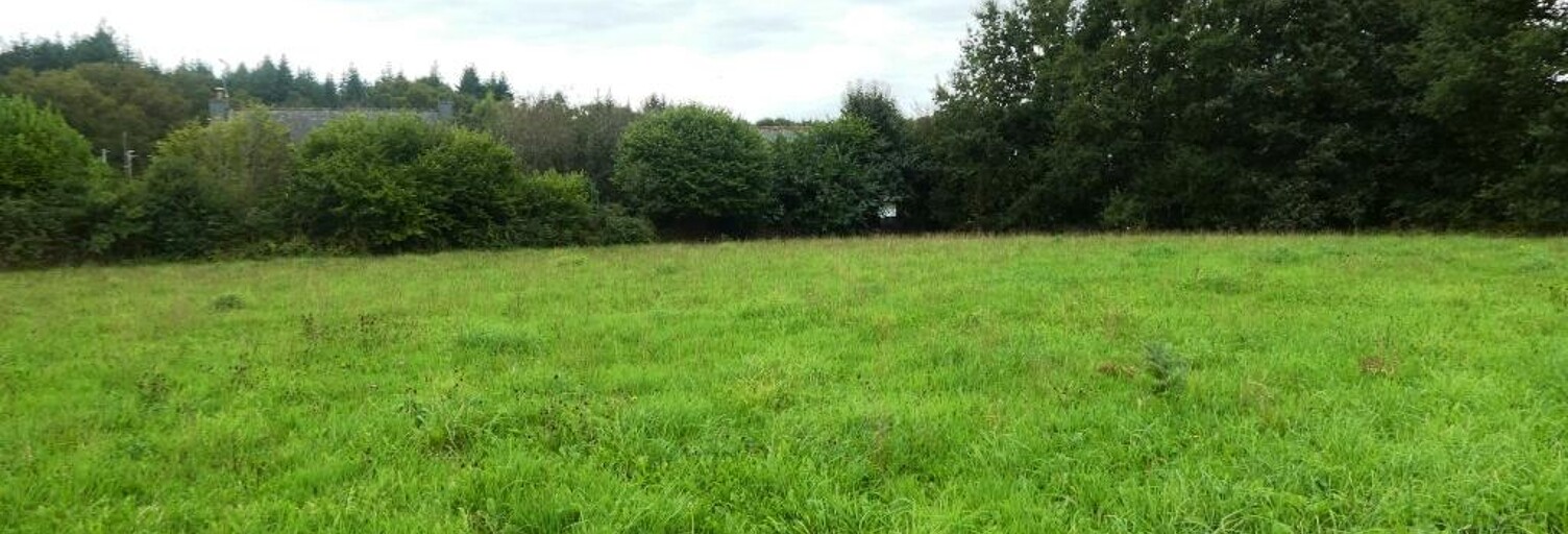 Terrain  2789 m² à vendre à Persquen (56160)