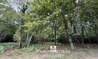 Terrain  2949 m² à vendre à Sanguinet (40460)