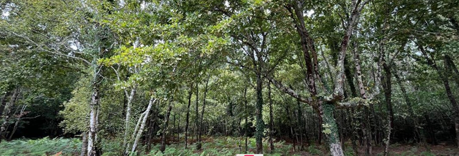 Terrain  2949 m² à vendre à Sanguinet (40460)