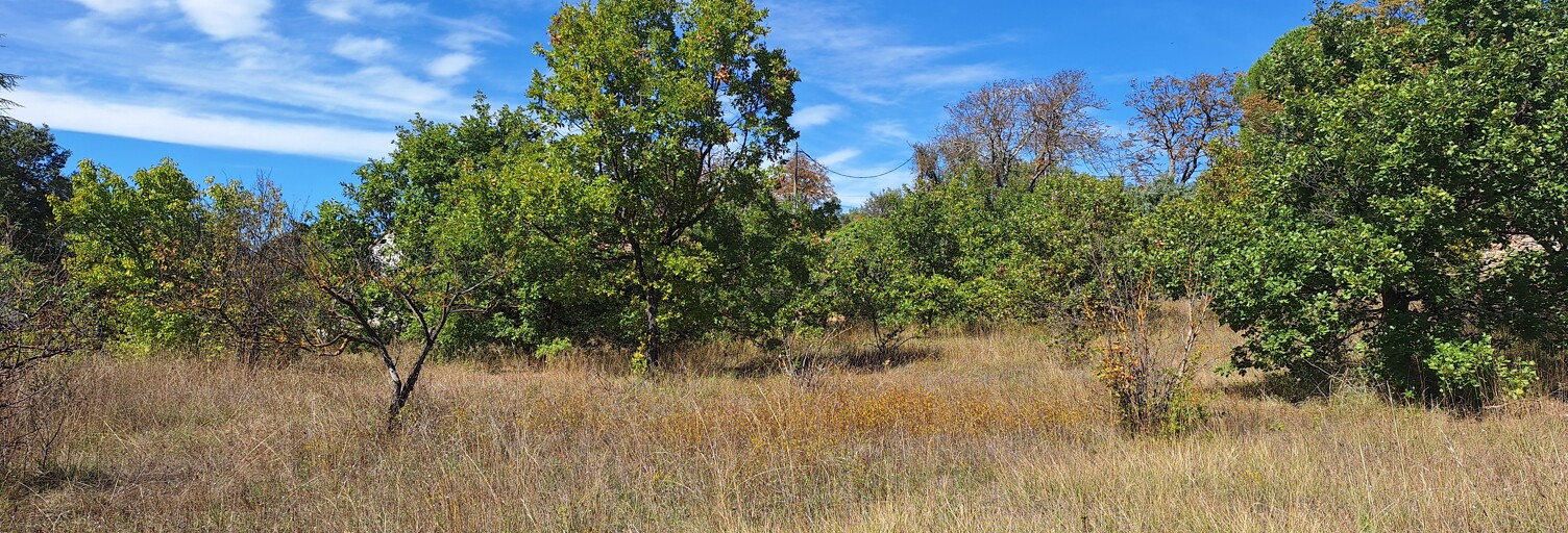 Terrain 1512 m² à construire Régusse (83630)