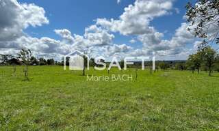 Maison 2 Pièces 49 m² à vendre à Sarre-Union (67260)