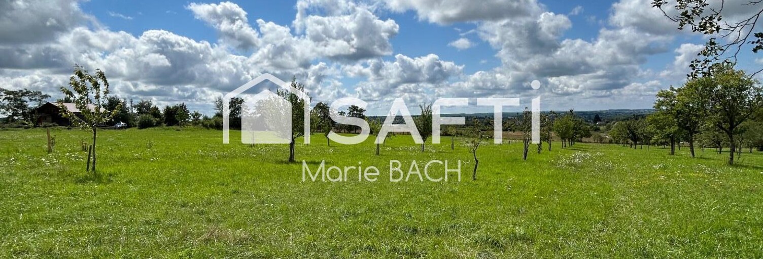 Maison 2 Pièces 49 m² à vendre à Sarre-Union (67260)