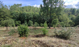 Terrain  4137 m² à vendre à Mercuer (07200)