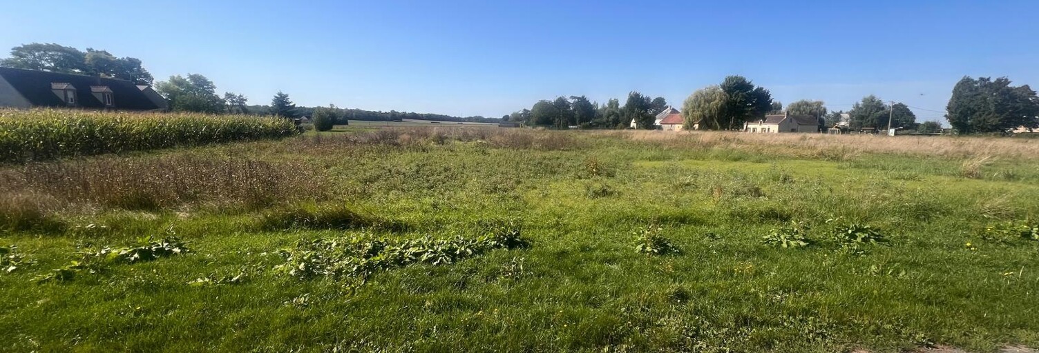 Terrain  3600 m² à vendre à Villevoques (45700)