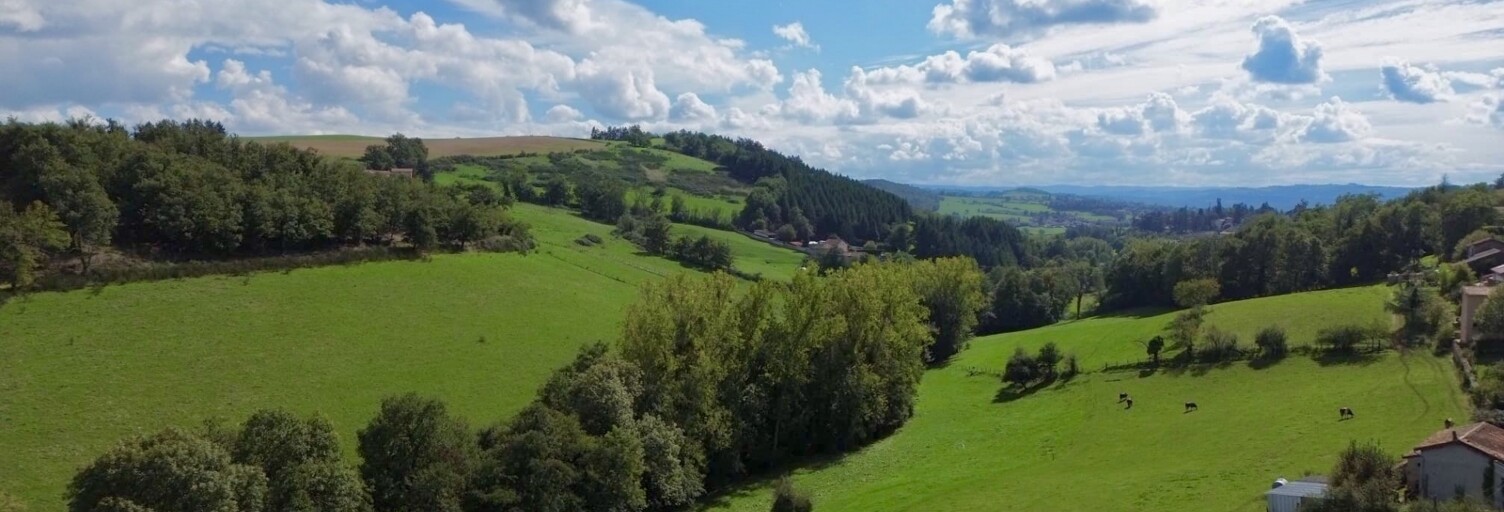 Terrain  887 m² à vendre à Saint-Galmier (42330)