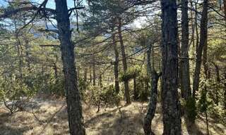 Terrain  2500 m² à vendre à La Martre (83840)