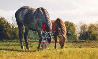 Terrain  4200 m² à vendre à La Teste-de-Buch (33260)