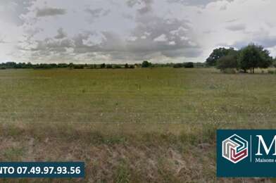 Terrain  56000 €