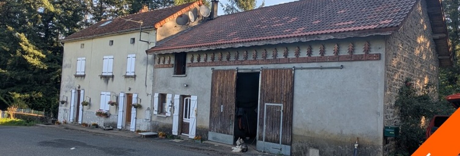 Maison 9 Pièces 178 m² à vendre à La Guillermie (03250)