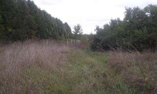 Terrain  2378 m² à vendre à Chavanges (10330)