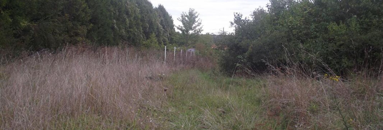 Terrain  2378 m² à vendre à Chavanges (10330)