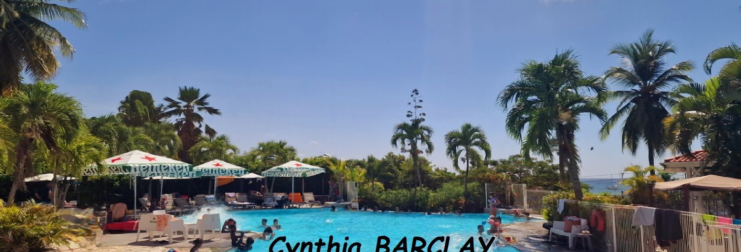 Appartement 1 Pièce 21 m² à vendre à Sainte-Anne (97227)