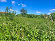 Terrain de 2000m2, viabilisé, constructible, proche - GIROND — photo 2