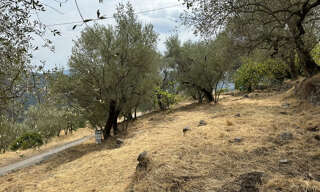 Terrain  961 m² à vendre à Utelle (06450)