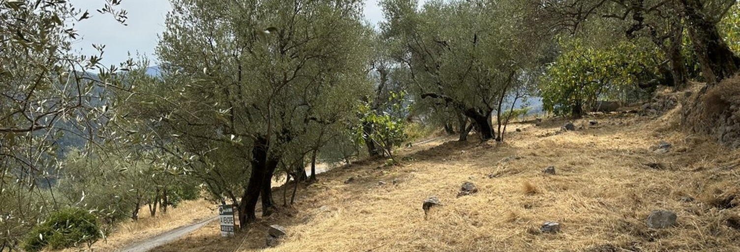 Terrain  961 m² à vendre à Utelle (06450)