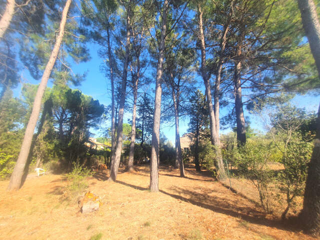 Dépt Hérault (34), à vendre MONTPELLIER Propriété de 2 Maiso — photo du bien