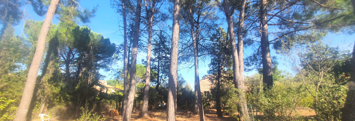 Maison 8 Pièces 250 m² à vendre à Castelnau-le-Lez (34170)