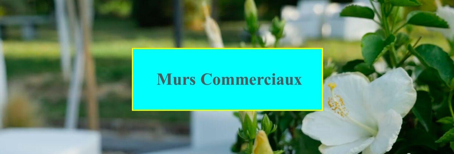 Commerce  450 m² à vendre à Les Angles (30133)