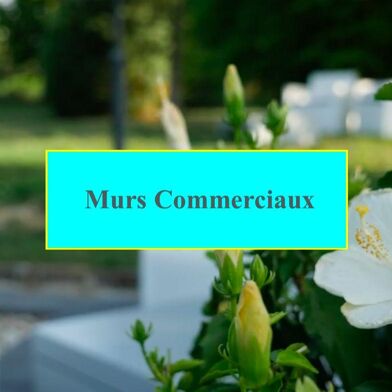 Commerce  575000 €