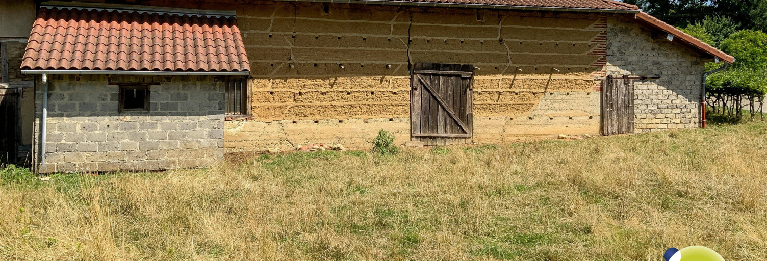 Maison 2 Pièces 300 m² à vendre à Vandeins (01660)