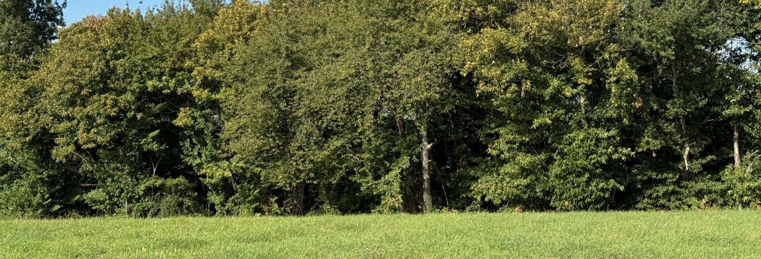 Terrain  3740 m² à vendre à Lodes (31800)