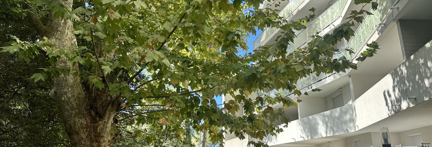 Appartement 4 Pièces 95 m² à vendre à Montpellier (34090)