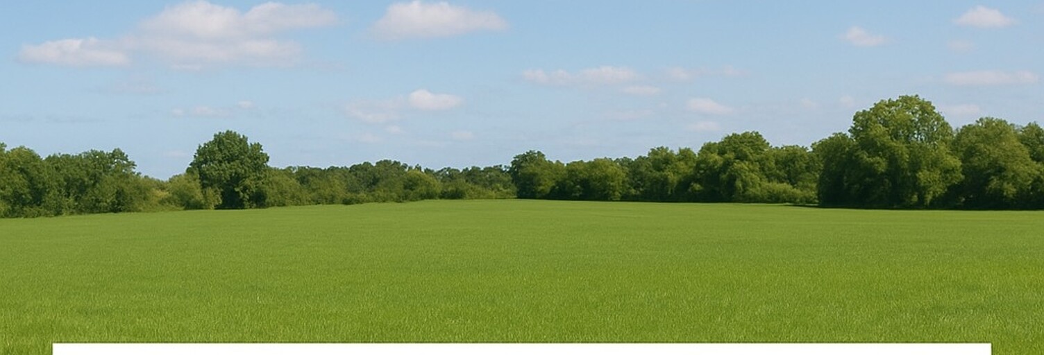 Terrain  11500 m² à vendre à Flourens (31130)