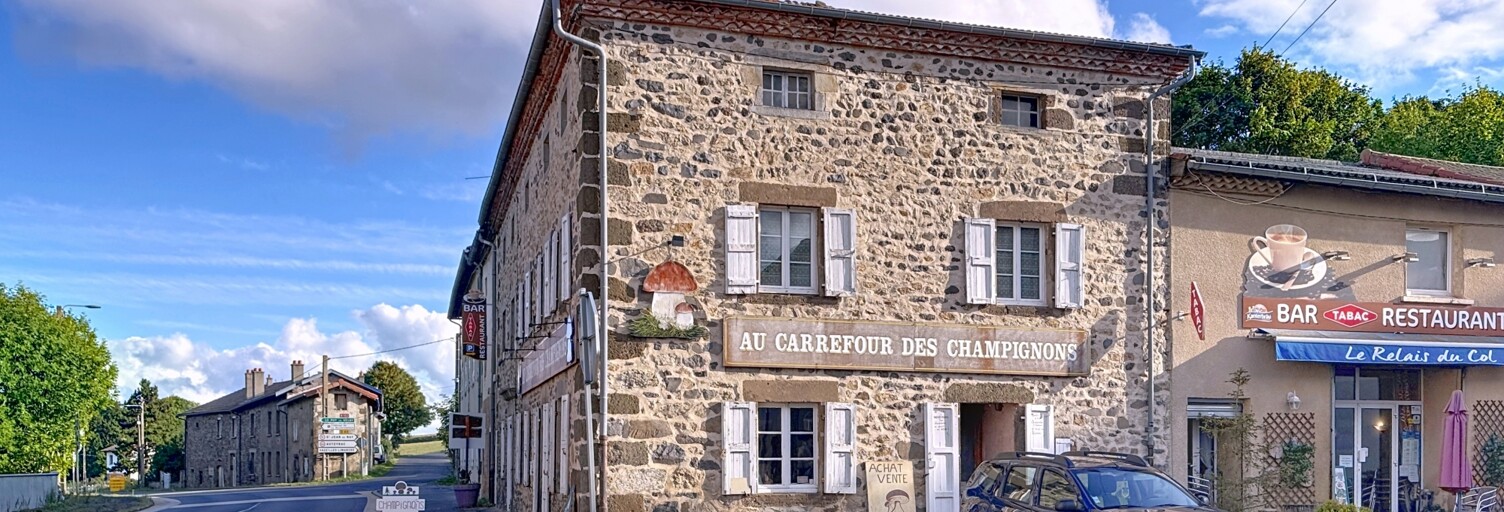 Maison 6 Pièces 208 m² à vendre à Fix-Saint-Geneys (43320)