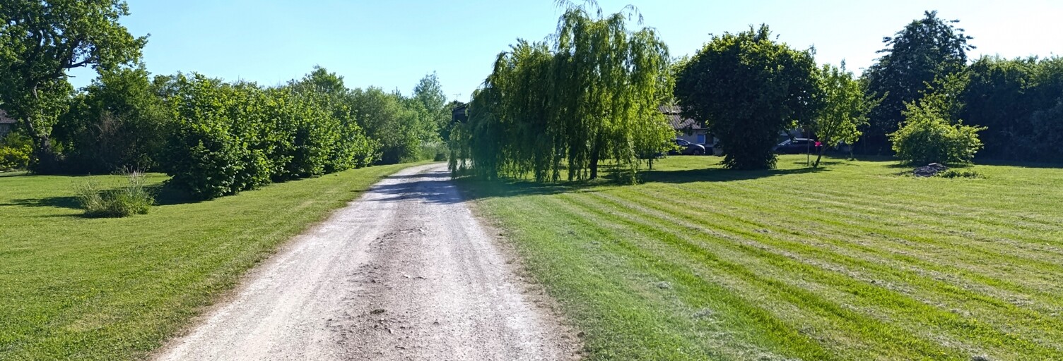 Maison 8 Pièces 246 m² à vendre à Outines (51290)