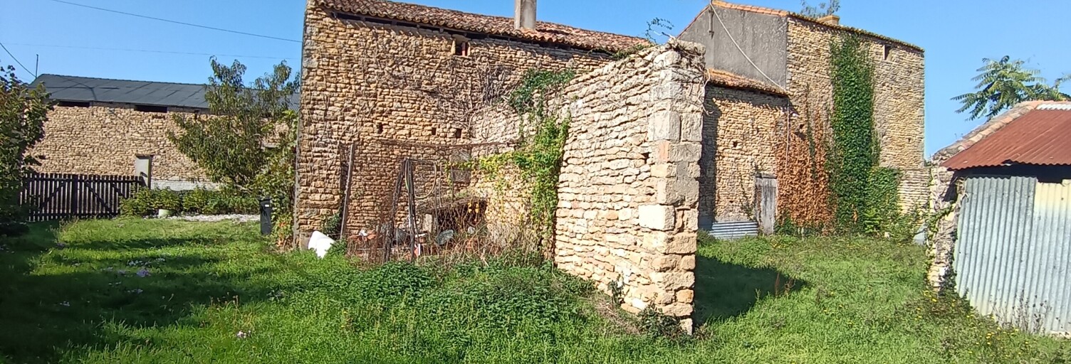 Photo N° 2