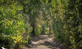 Maison 7 Pièces 165 m² à vendre à Montpellier (34070)