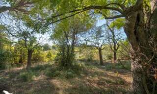 Maison 7 Pièces 165 m² à vendre à Montpellier (34070)