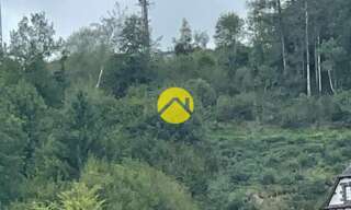 Maison 1 Pièce  m² à vendre à Pierrefort (15230)