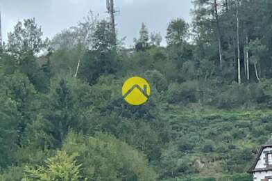 Maison 1 pièces 11500 €